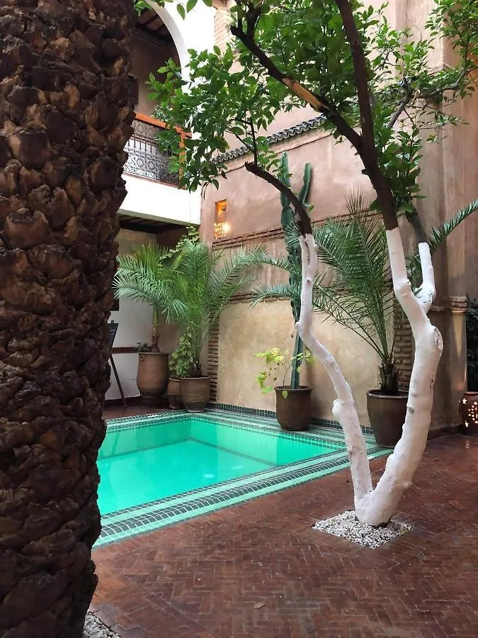 Riad Palmier (Adults Only) Marrakesh