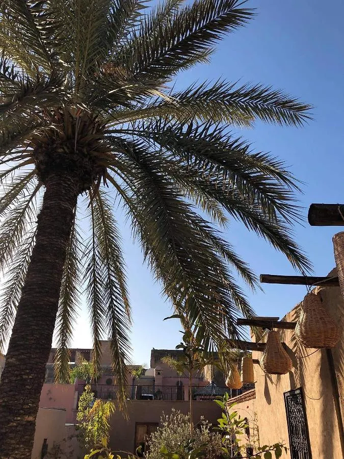 Riad Palmier (Adults Only) Marrakesh 2*,  Marokko