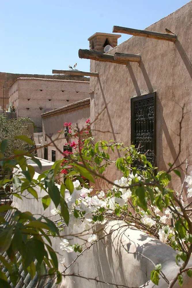 Riad Palmier (Adults Only) Marrakesh