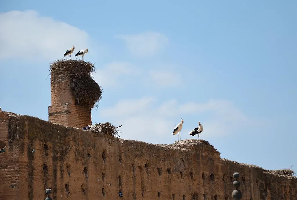 Riad Palmier (Adults Only) Marrakesh