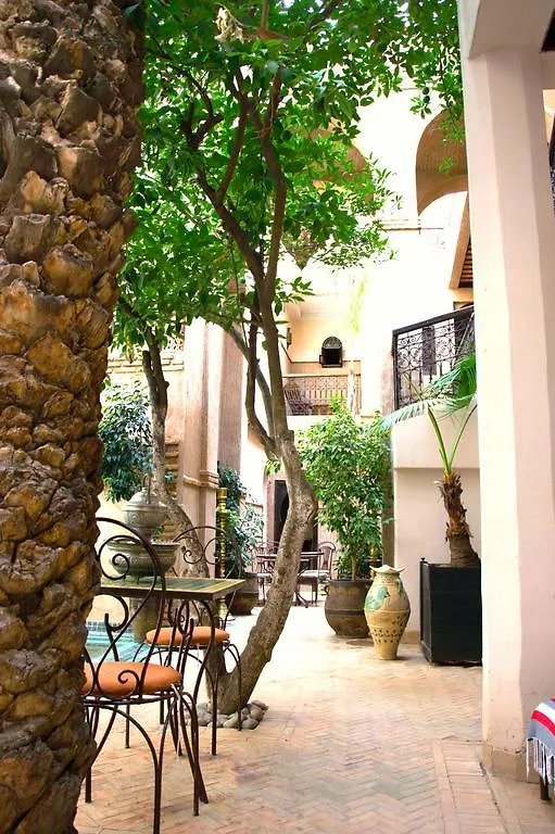 Riad Palmier (Adults Only) Marrakesh